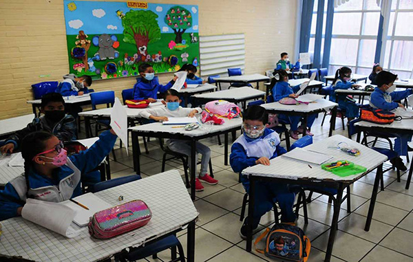 clases-presenciales-121524