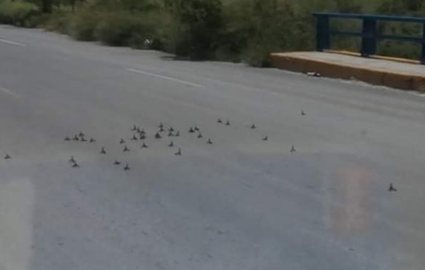 Policía Estatal retira bloqueos en la frontera 2 218957840 839660946955786 4773765582071811253 n