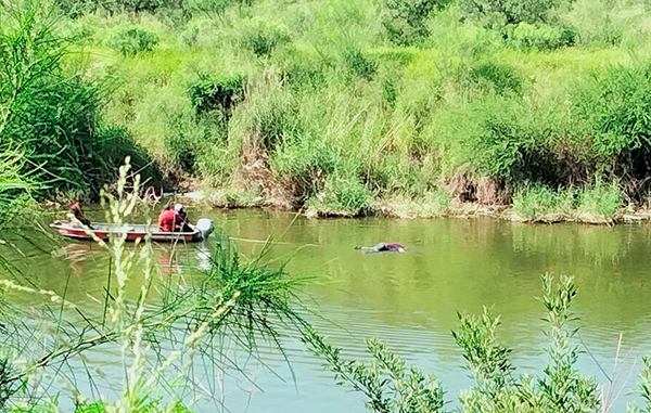 Flota cadáver en el Anzaldúas en Reynosa 1 219422323 509034873488862 7593151332187468629 n