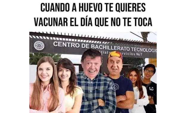 bachi