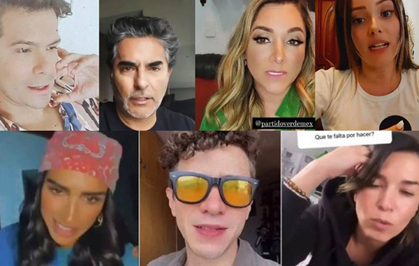 influencers veda electoral partido verde