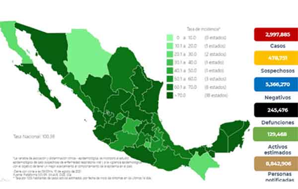 Fallecen 786 de Covid-19 en México; suman 245 mil 476 1 MAPA 6