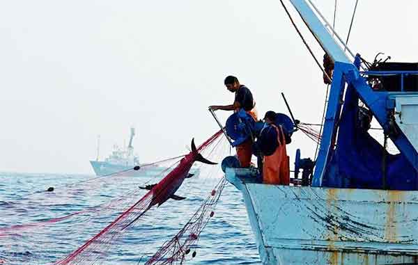 PESCA