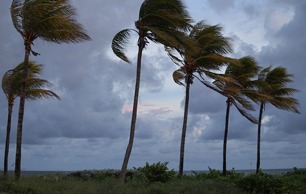 tormenta