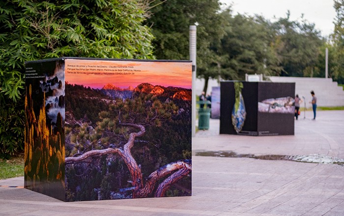 Inauguran ‘Áreas Clave para la Biodiversidad’ en el Parque Fundidora 1 243457425 642157800081925 4863186931278574464 n