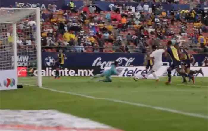 Tigres