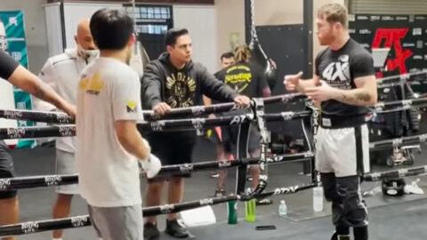 ‘Canelo’ Álvarez entrena al hijo de Manny Pacquiao y prepara su debut 6 1486656