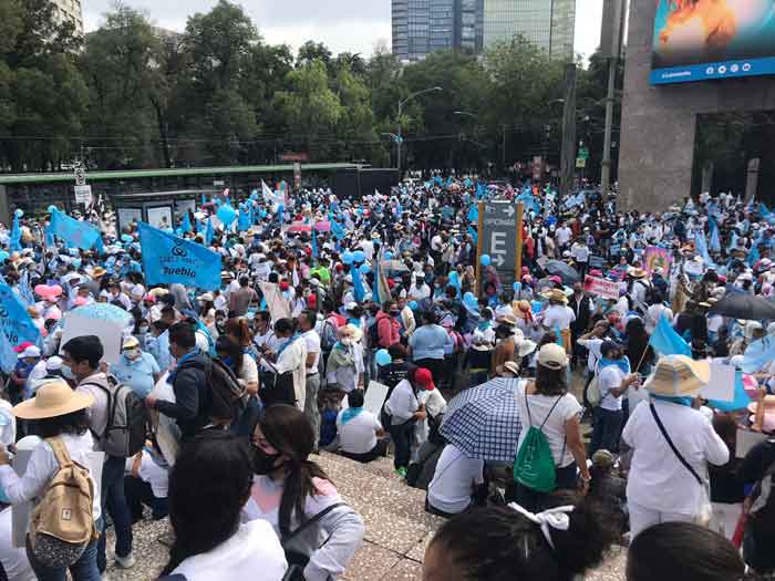 Durante marcha antiaborto realizan ultrasonido a menor embarazada (VIDEO) 1 Provida 3