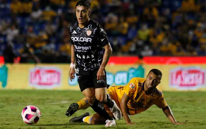 TIGRES