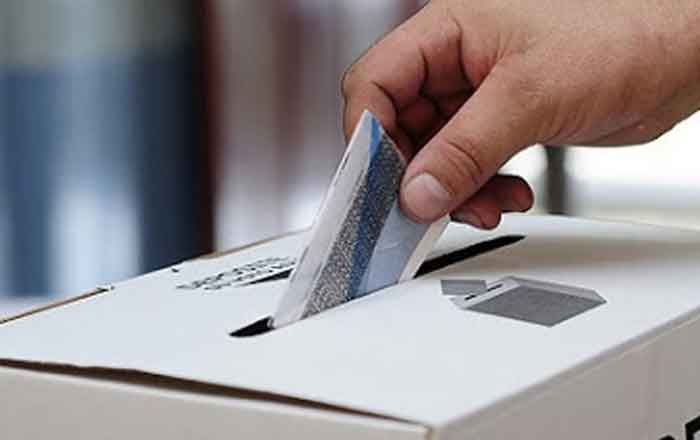 Tamauliepcos-voto