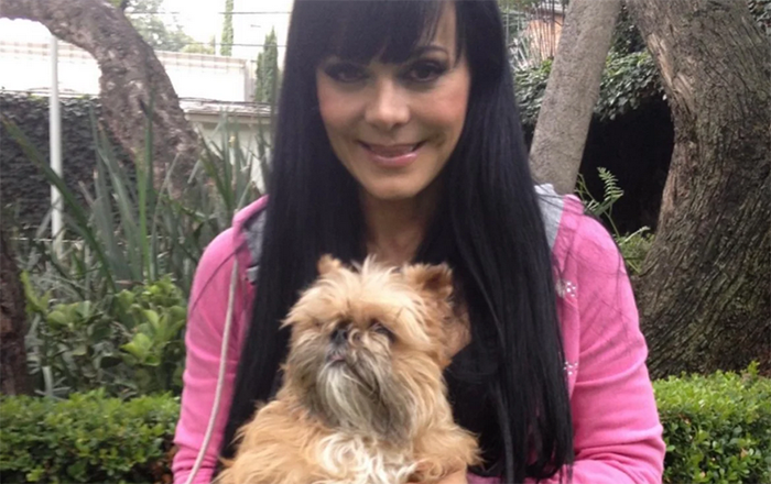 maribel guardia