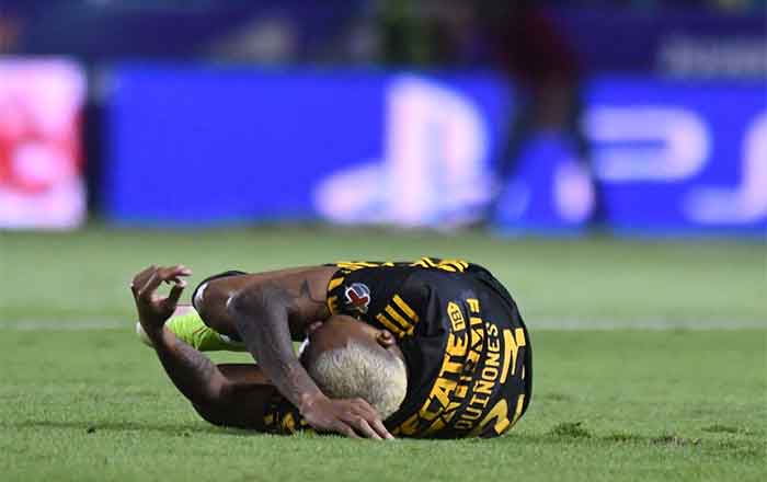 ¡No se pudo! Tigres perdió 2-1 en partido de vuelta ante León 6 TIGRES 7 2