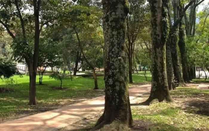 ARBOLES
