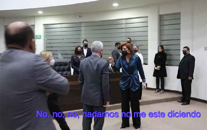DIPUTADA