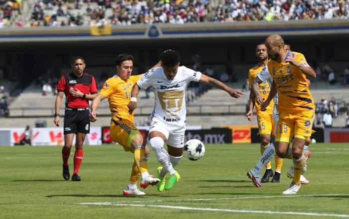 Pumas-tigres