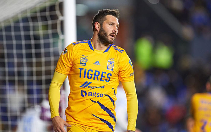 tigres