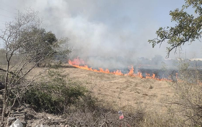 Se registran casi 100 incendios en NL 1 274121481 394623019162367 8519831075291207538 n
