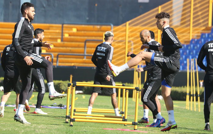 Tigres-4