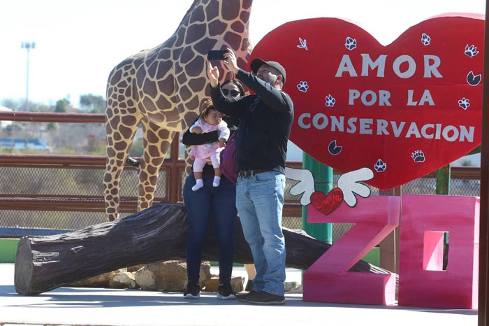 Enamorados celebran en zoológico de Nuevo Laredo 3 Zoo 4
