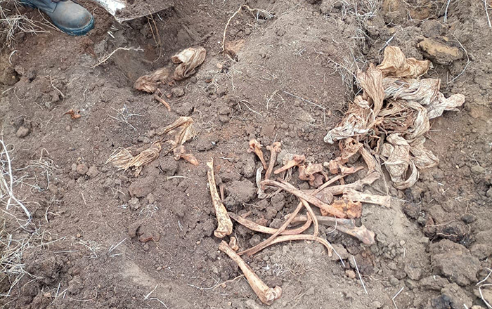 Realizan búsqueda de restos humanos sin apoyo de CNB, Sedena y GN 1 274453189 4723124934477022 8119364624950573512 n