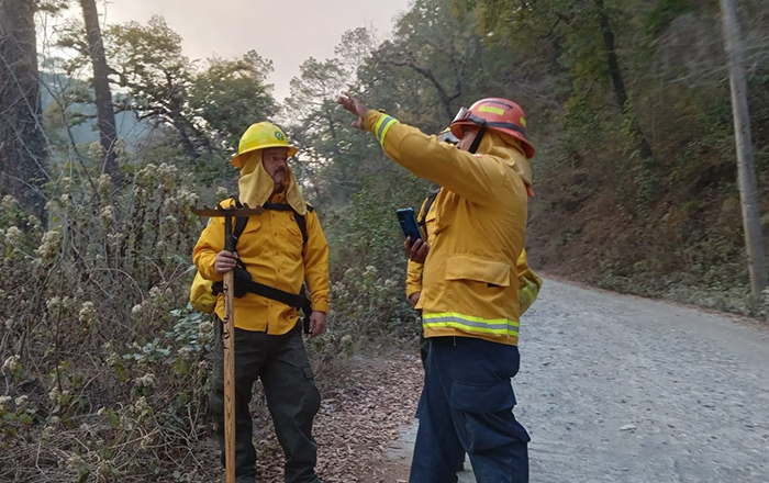 Combaten incendio en las Adjuntas 1 275512795 508230060936860 3324228662166560156 n