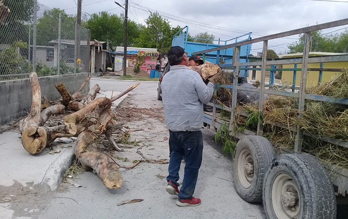 Implementan tres turnos de limpieza en Nuevo Progreso 4 275786693 960307654845040 5982555235214553453 n