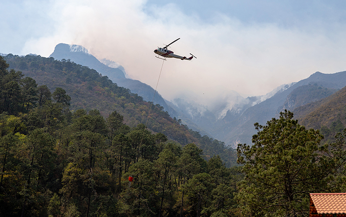 Denunciarán penalmente a responsables de incendio en Santiago 3 276094706 1935544483308689 7970194525876642209 n