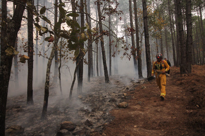 Incendio en sierra de Santiago ha afectado mil 200 hectáreas 1 Incendio 1 1