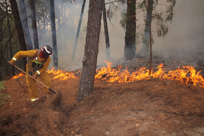 Incendio en sierra de Santiago ha afectado mil 200 hectáreas 4 Incendio 4