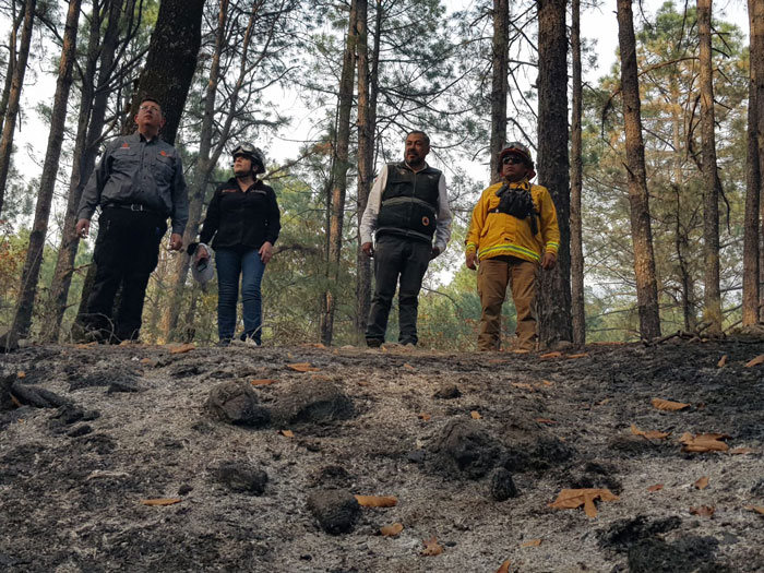 Incendio en sierra de Santiago ha afectado mil 200 hectáreas 3 Incendio 6