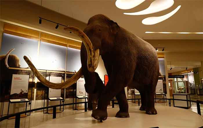 AMLO busca cerrar transporte de carga en el AICM 1 MAMUT AIFA