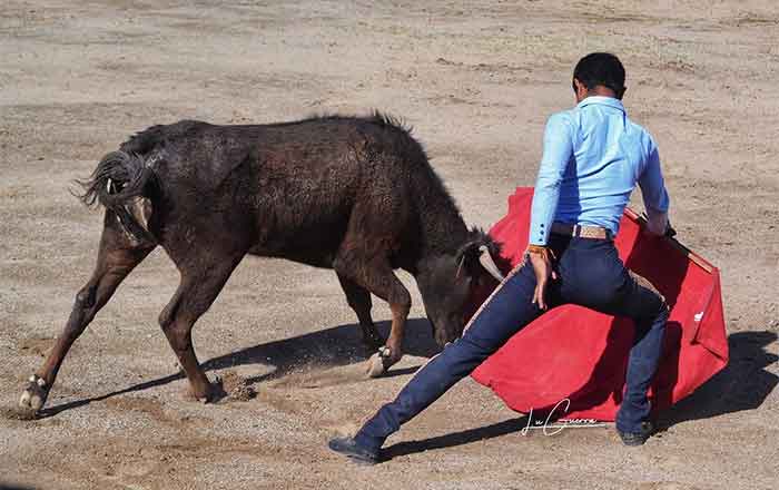 Impulsan en el campo a futuras promesas taurinas 3 NOVILLEROS 2