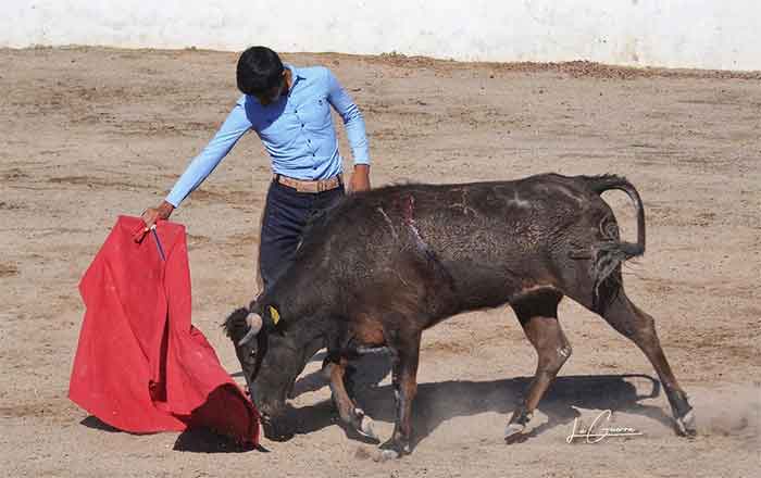 Impulsan en el campo a futuras promesas taurinas 4 NOVILLEROS 3