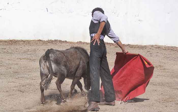 Impulsan en el campo a futuras promesas taurinas 5 NOVILLEROS 4