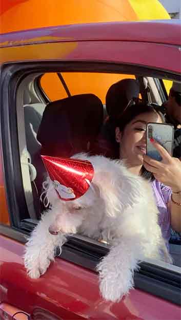 Con caravana celebran 6o cumple de ‘Rex’ en Reynosa 4 REY 3
