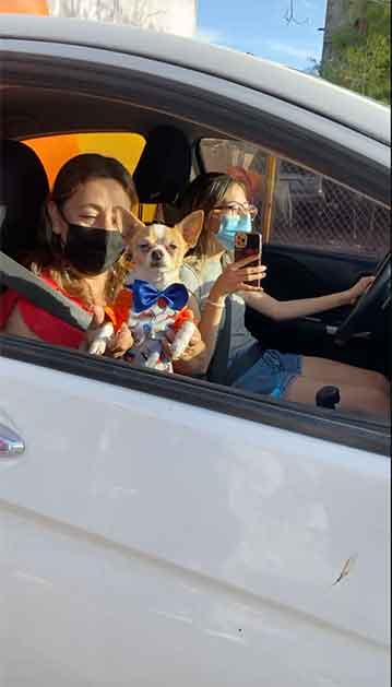 Con caravana celebran 6o cumple de ‘Rex’ en Reynosa 5 REY 4