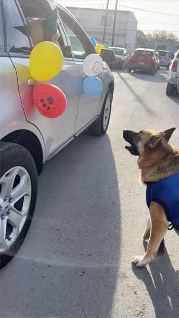 Con caravana celebran 6o cumple de ‘Rex’ en Reynosa 7 REY 6