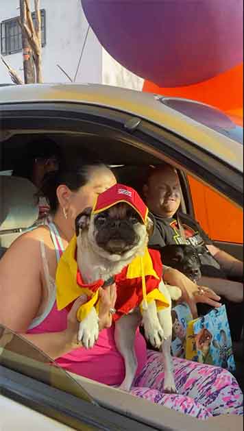 Con caravana celebran 6o cumple de ‘Rex’ en Reynosa 3 REY 7 1