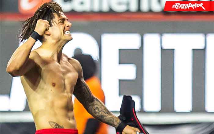 XOLOS