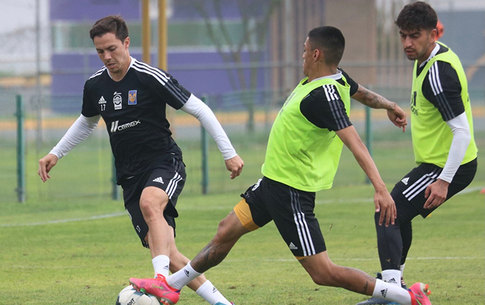 Regresa Tigres a entrenar… con bajas 8 278667609 1193660318047365 701080386200671167 n