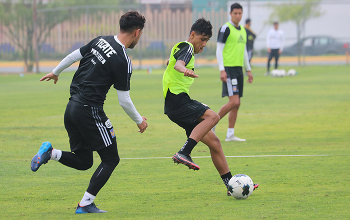 Regresa Tigres a entrenar… con bajas 4 279525681 510564334190068 444389435704907411 n