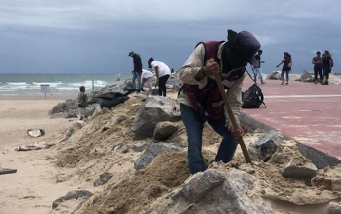 Intensifican Acciones de Limpieza en Playa Miramar 1 01 1