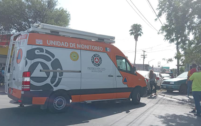 Rescatan a osito atrapado en lo alto de una palmera de Apodaca 2 278661192 536425684849763 5765250802888616499 n