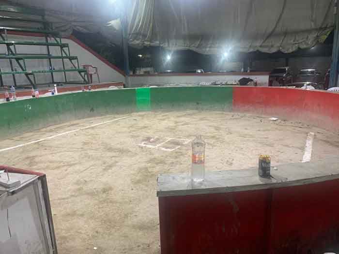 Clausura Escobedo palenque clandestino; decomisa cerveza y 64 gallos 1 Escobedo 6