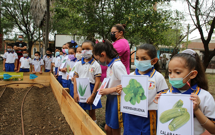 Emprende Cristina Díaz huertos escolares en Guadalupe 2 HUERTO ESCOLAR 4