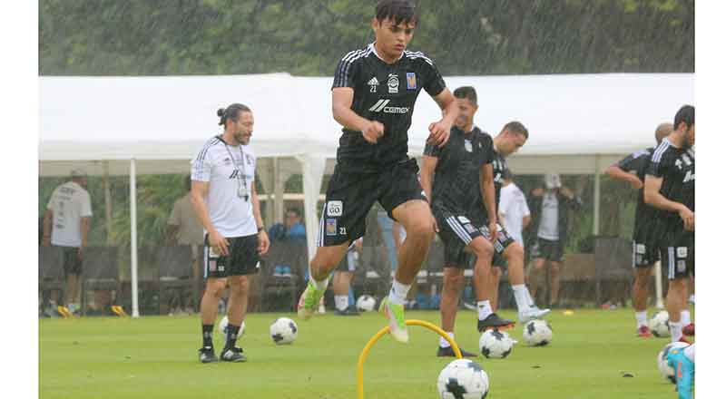 TIGRES-5