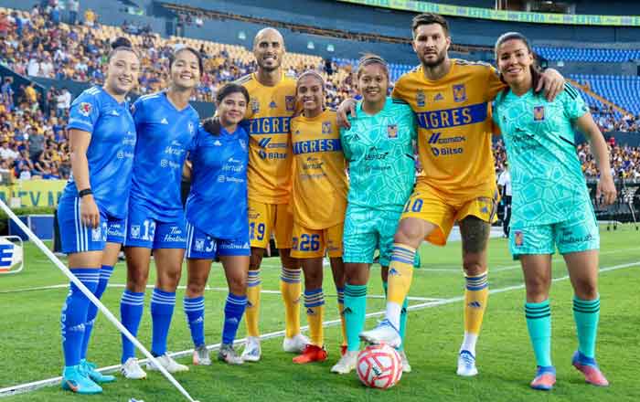 Tigres-1