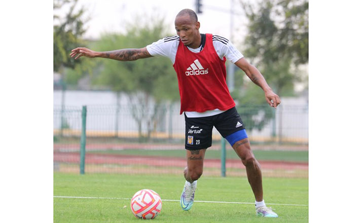 Tigres a darle vuelta a la página 2 23