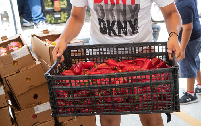 Gestiona DIF Río Bravo alimentos para sus habitantes 3 294914314 2929352497358639 6421004282903154790 n