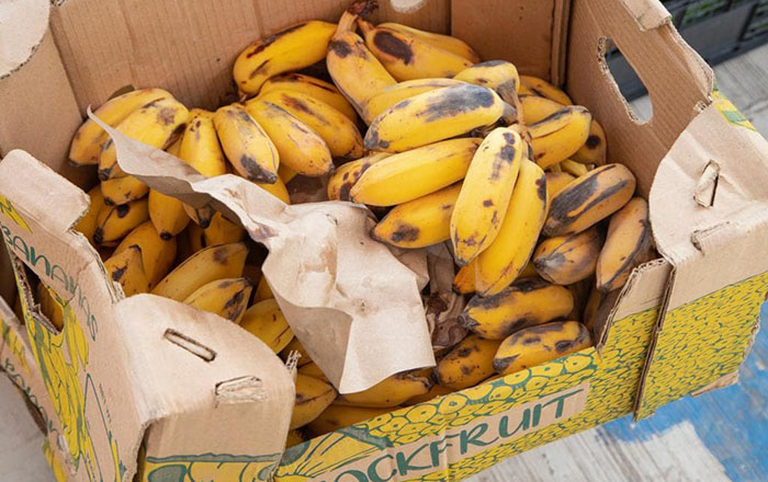 Gestiona DIF Río Bravo alimentos para sus habitantes 2 295442162 1451001231990455 3953896675666535530 n